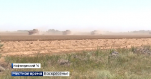 Уборка зерна на Ставрополье идет полным ходом