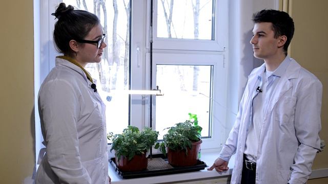 Просто о сложном. Как выбрать фитолампу? смотреть онлайн