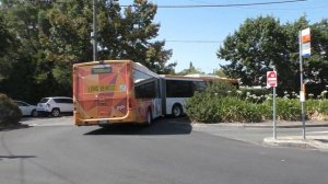 Trains and buses at Lilydale - Melbourne Transport