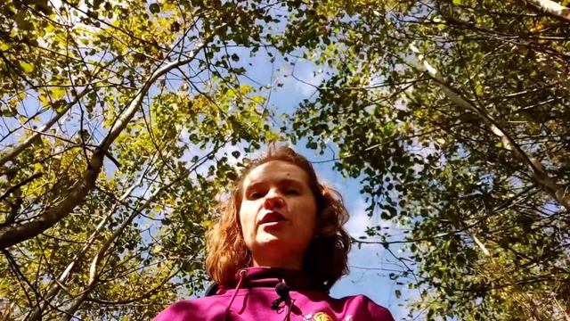 Признаки пониженной кислотности желудочного сока смотреть онлайн