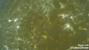 Заглушка монтажной пеной,,,,,,,,,,