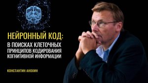 Нейронный код. Константин Анохин