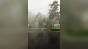 В Кирове устраняют последствия урагана с ливнем и градом