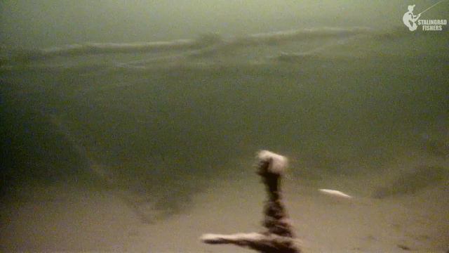 МУРАШКИ ПО КОЖЕ ОТ УВИДЕННОГО! Ловля НА ВИБЫ В ЛЮТОМ КОРЯЖНИКЕ смотреть онлайн