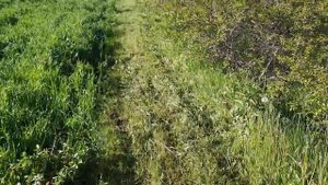 Обзор режущих ножей для косилки "Заря". Три варианта ножей.