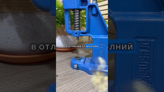 Вся правда о собачьей одежде. Что выбрать для собаки. Одежда для собак.