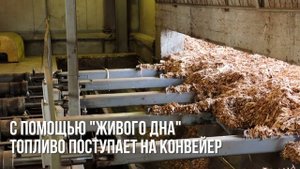 Работа Пинской мини-ТЭЦ на древесной щепе