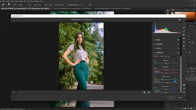 Outdoor Photography Preset l Portrait Photo Retouching in Photoshop l Free Photoshop XMP Preset 