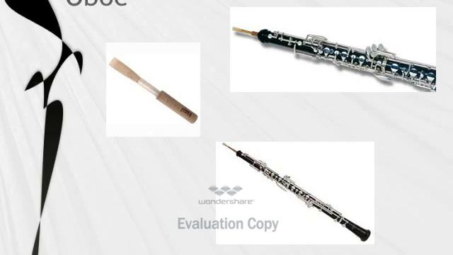 Instruments of the Orchestra - Woodwind.asf смотреть онлайн