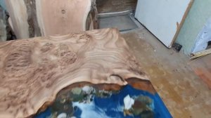 Каповый карагач. Дерево карагач. Дерево вяз. Дерево ильм. Стол из дерева