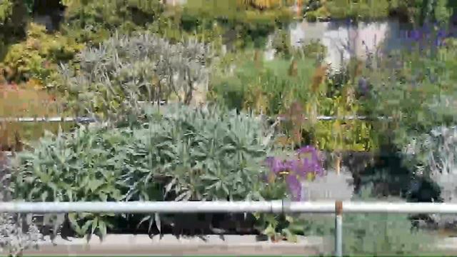 Different Flower's, Trees and Beautiful View in Villa Taranto смотреть онлайн