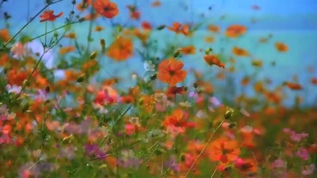 Воронина Лайф \ Обзор влогов \ Воронина удаляет комментарии, правильно ли это?! \ Скучные видео... смотреть онлайн