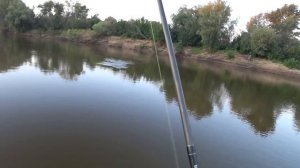 АХТУБА..ИЮЛЬ..ЖЕРЕХ..САЗАН...НОЧЕВКА НА РЕКЕ