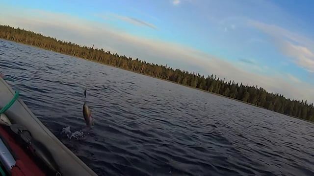 Наш поход по реке Калга ( Карелия 2019) смотреть онлайн