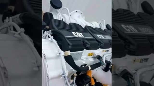 Cat engine love By Goldpower Diesel Service's Sunshine смотреть онлайн