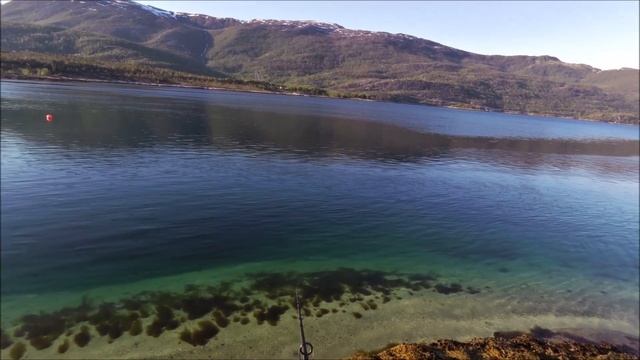Выходной в Норвегии / Рыбалка в дальнобое / Мега клев трески :) смотреть онлайн