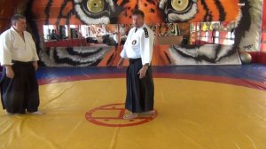 ТОП 5 лучших техник айкидо ? Котегаеши