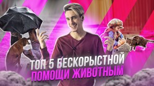 5 СЛУЧАЕВ БЕСКОРЫСТНОЙ ПОМОЩИ ЖИВОТНЫМ, СНЯТЫХ НА КАМЕРУ!