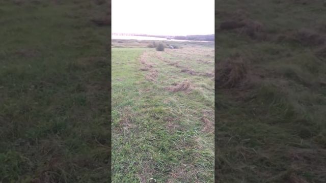 ГВК 4 сбор сена смотреть онлайн