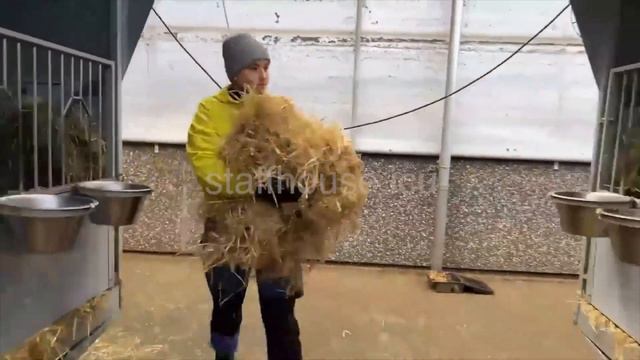 Работа на ферме "Sunderlandwick Farm LTD" смотреть онлайн