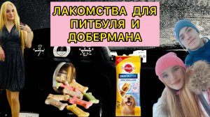 ЛАКОМСТВА ДЛЯ ПИТБУЛЯ И ДОБЕРМАНА/ВЛОГ