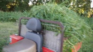 Мотороллер Муравей с двигателем от мотоблока... продолжение.