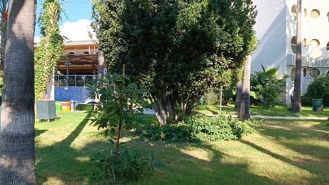 ?️Отель MC Beach Resort 5*?Зелёная территория? ?Вкусное мороженое?#отдыхвтурции