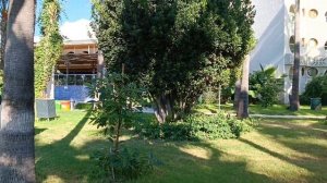 ?️Отель MC Beach Resort 5*?Зелёная территория? ?Вкусное мороженое?#отдыхвтурции