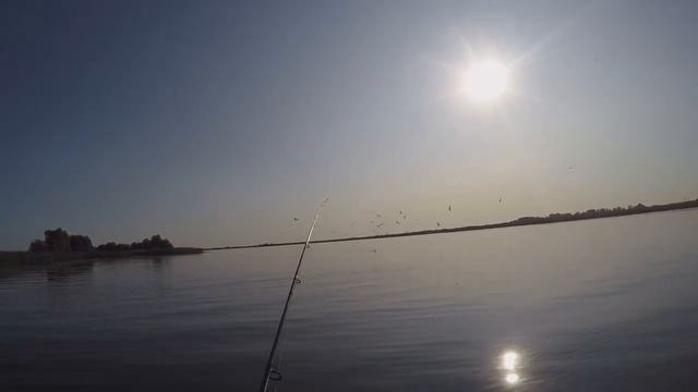 Ловля селедки и жереха ,на вольфрамовый кастмастер с дорожкой. смотреть онлайн