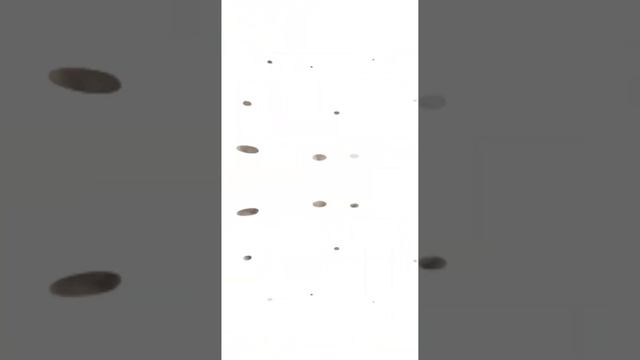 Как быстро летит время(с маленького щенка, вырос в мощную кавказкую овчарку) #dogs #powerful смотреть онлайн