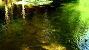 Марий Эл. Зеленый ключ.