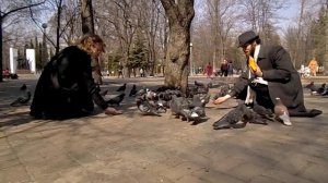 Традиция в день Рождения кормить голубей в парке