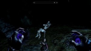 SkyrimSE Sofia Companion glitch