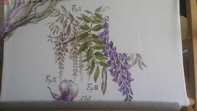 Глициния))) Что с ней? смотреть онлайн