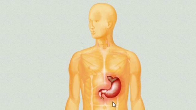Презентация компьютерной пульсовой диагностики ВедаПульс смотреть онлайн