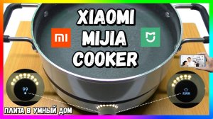 Умная Плита Xiaomi Induction #Cooker (DCL01CM) | ОБЗОР и ТЕСТЫ