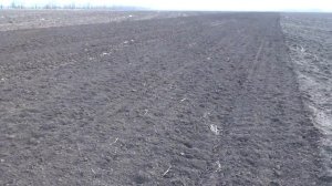 Предпосевная вертикальная обработка почвы культиватором Salford RTS I 2100