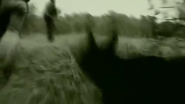 «Криминальная Россия»  «Чума»	2 Части      2 и 9 октября 2000
