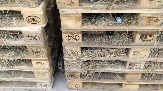 Торговые полочки, стеллажи из поддонов/Впечатлило
