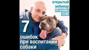 7 ошибок владельцев собак (Антуан Наджарян)