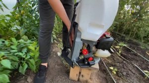 Садовый бензиновый опрыскиватель с двигателем honda