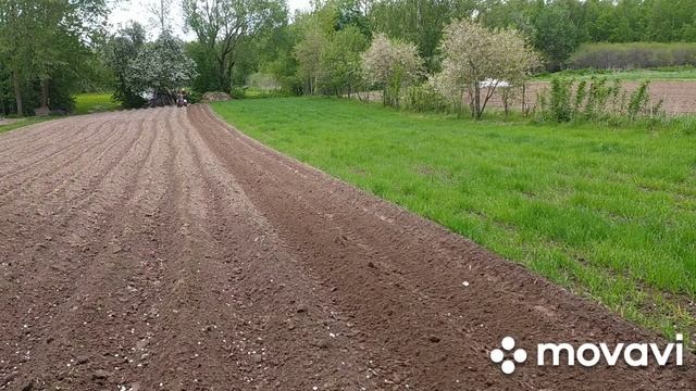 Грасхоппер и ёжики или первый опыт с ежами. смотреть онлайн