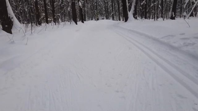 Лыжная трасса ЩЁЛКОВСКИЙ хутор Нижний Новгород