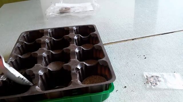 Сажаем семена из Китая Кленовый бансай смотреть онлайн