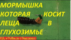 САМАЯ УЛОВИСТАЯ СЕКРЕТНАЯ МОРМЫШКА НА ЛЕЩА СВОИМИ РУКАМИ,ЛЕЩ БУДЕТ АТАКОВАТЬ ПОКА НЕ ОБОРВЕТ ЛЕСКУ