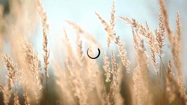 Как жить осознанно? Притча о землянике | Сатсанг | ☀️ Мастер Че — Дзен до колен. смотреть онлайн