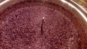 Дикие дрожжи в вине!!!