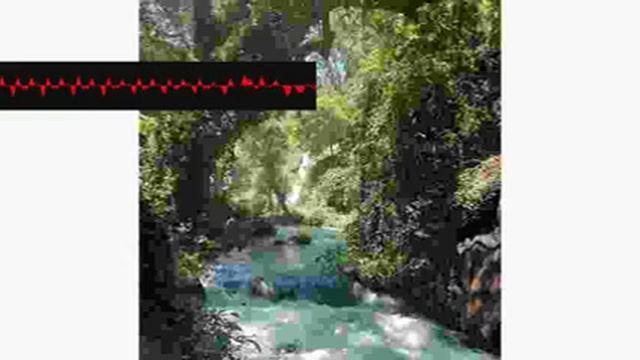 Pianissimo Concerts Recapitulation clphvroqfu смотреть онлайн