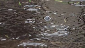Белый шум дождя. Просто наденьте наушники и закройте глаза, сон придет к вам.