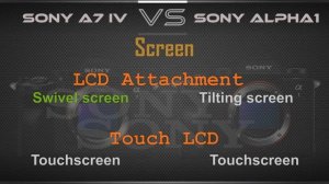 Sony a7 IV VS Sony alpha1